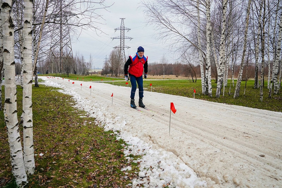    Живописный маршрут проложен в парке "Братеевская пойма", протяженность маршрута - 5 км. / mos.ru