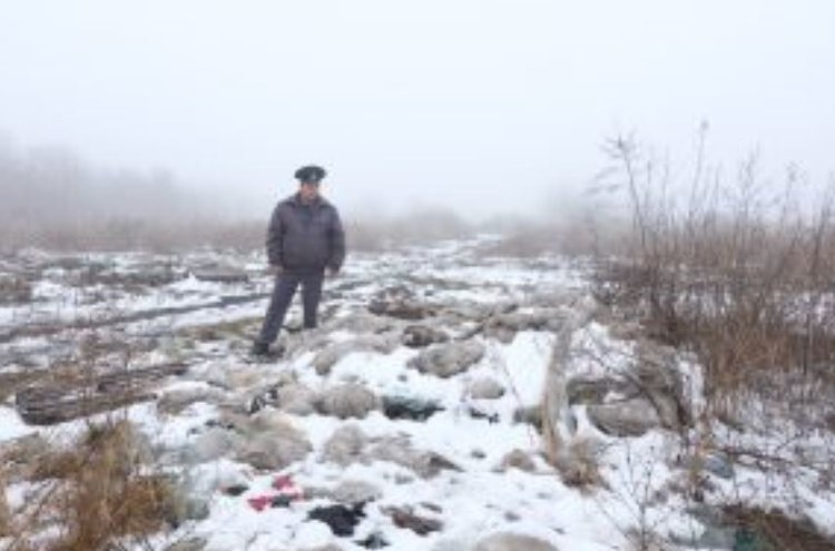 За хлам на сельхозучастке придется заплатить более 6 млн рублей