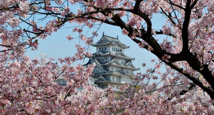    Ingram Publishing / Фотобанк Лори