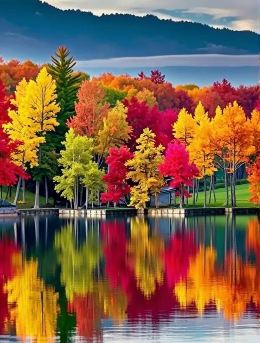 Яндекс. Все краски мира.