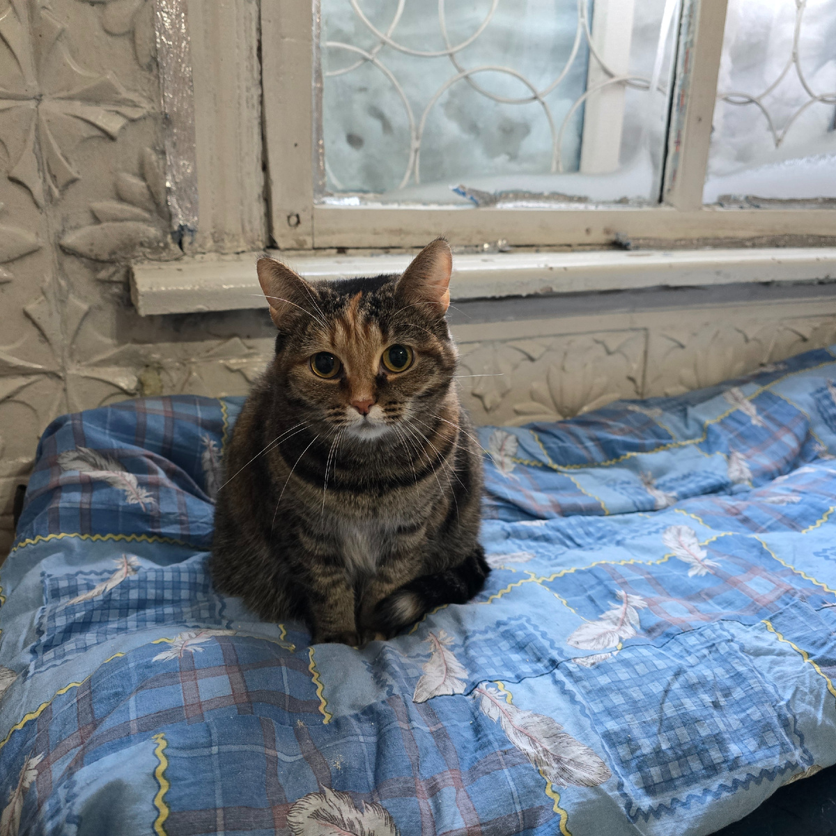 Ксюша сидит у окна одиноко