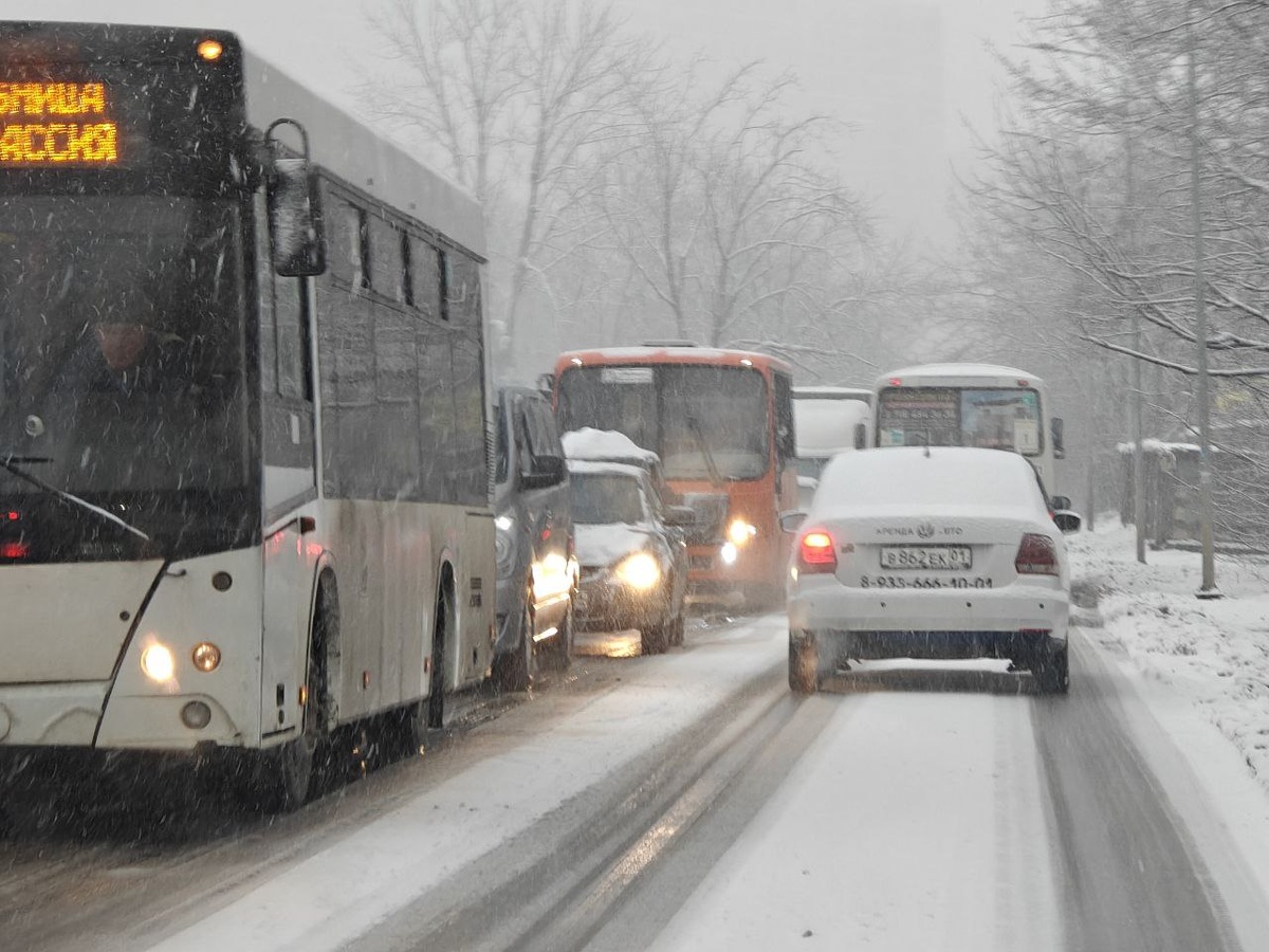    Фото: Юрий Серебренников/BFM Кубань