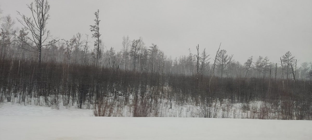 И такой пейзаж - на протяжении сотен километров... Р-р-романтика! 