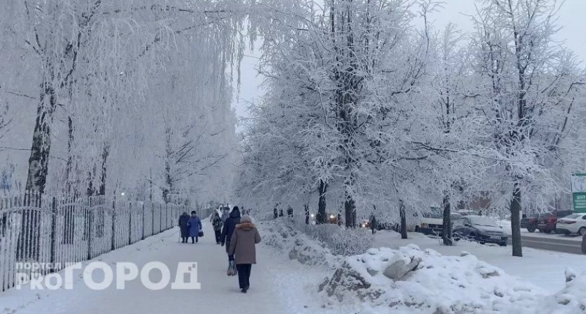    Фото: progorod43.ru