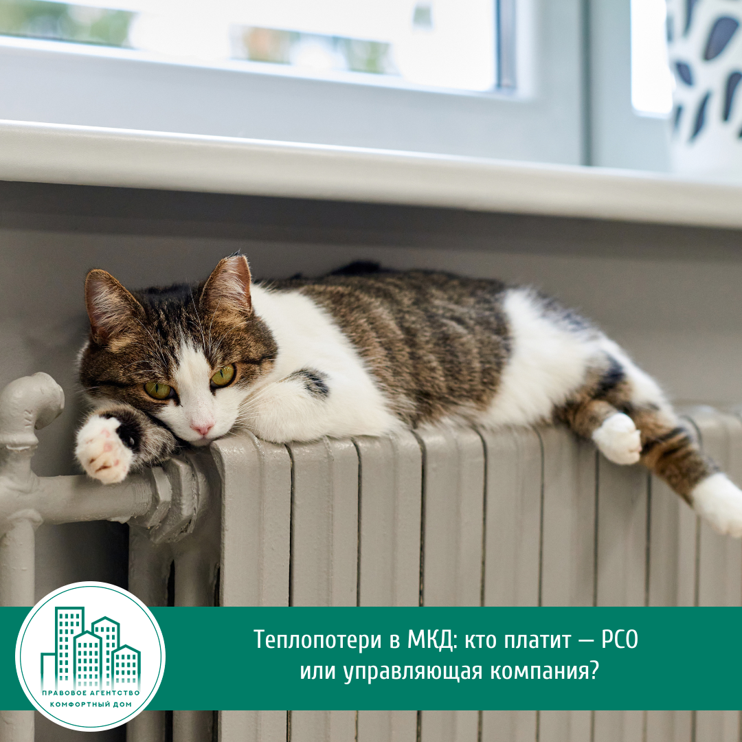 Теплопотери в МКД: кто платит — РСО или управляющая компания? | Комфортный дом