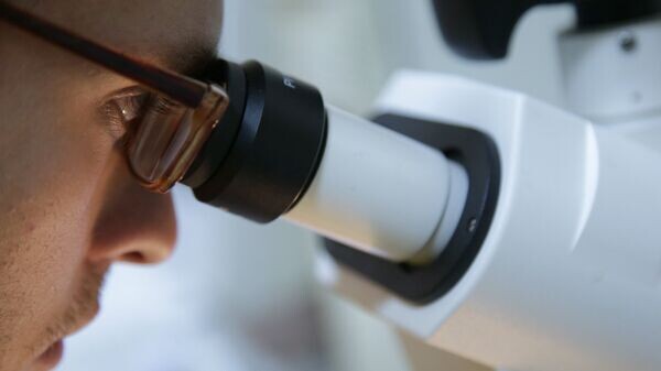    © Sputnik / Валерий Мельников