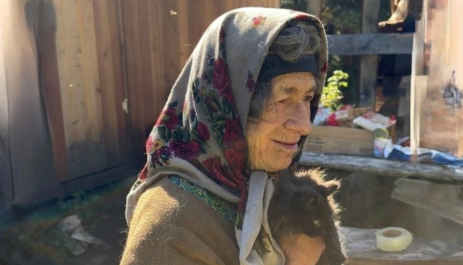 Как котята Агафьи Лыковой нашли дом на «большой земле»