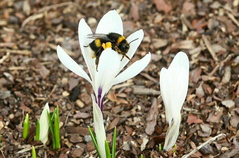   Ярослав Чингаев / АГН Москва