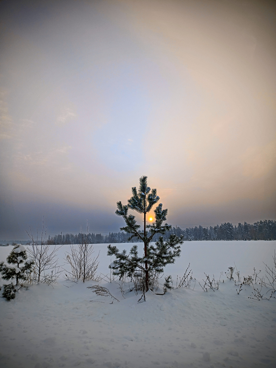 Просто красиво. Фото автора