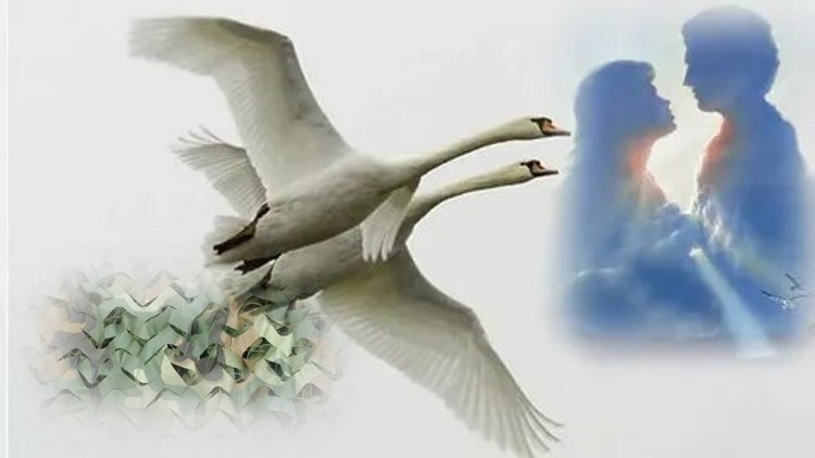 Из открытых источников