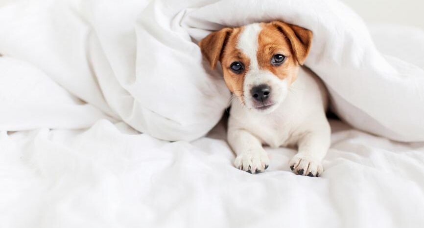    Гладских Татьяна / Фотобанк Лори