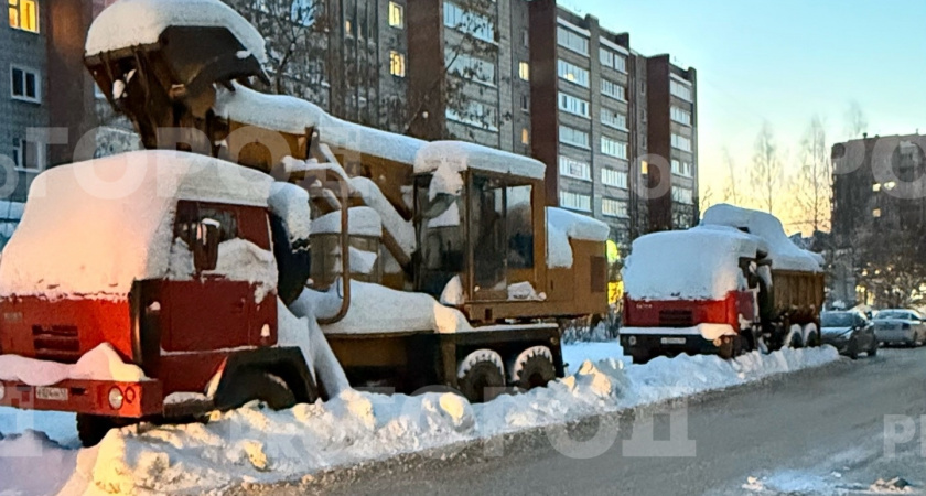    Фото: progorod43.ru