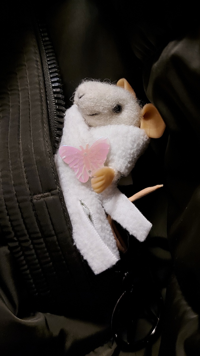 Кармашница Мыша. Фото автора канала.