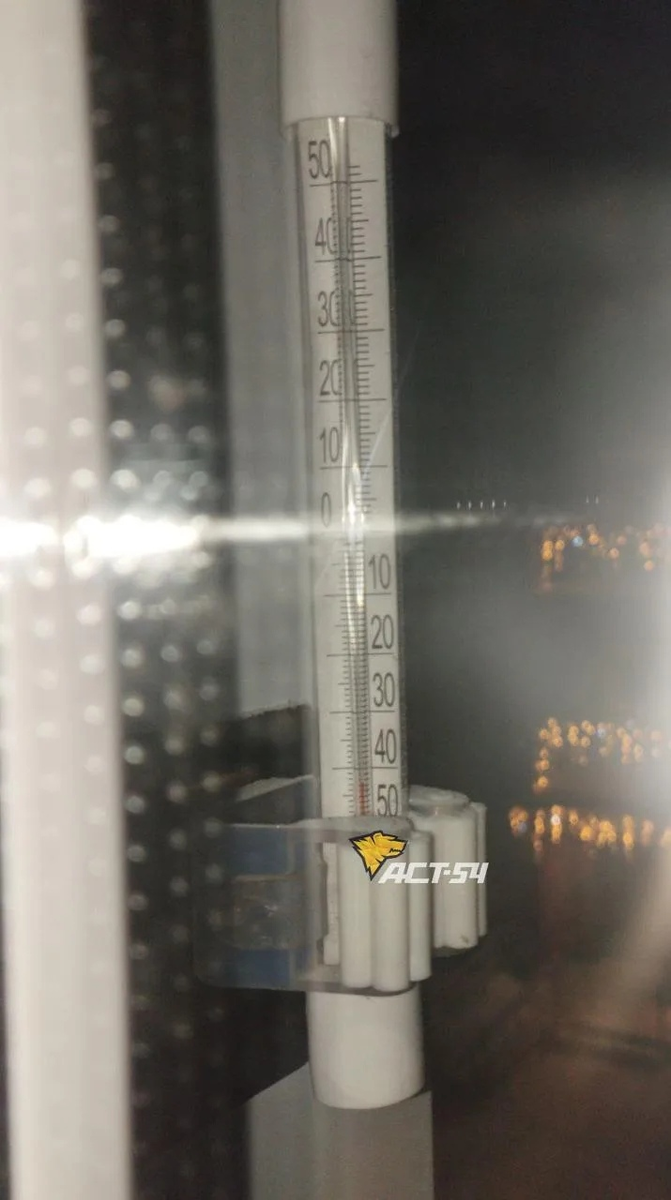 Фото подружки. 54 регион