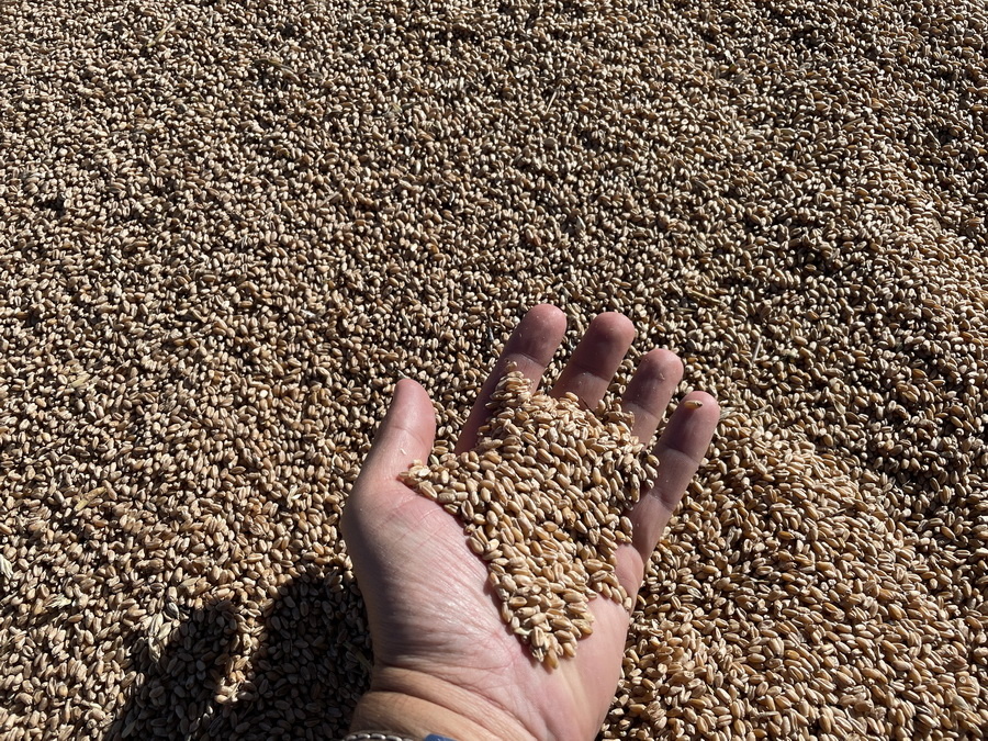 Источник фото: ElDala.kz