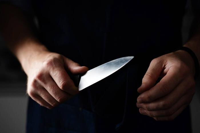 Обложка © Shutterstock / FOTODOM / In Green