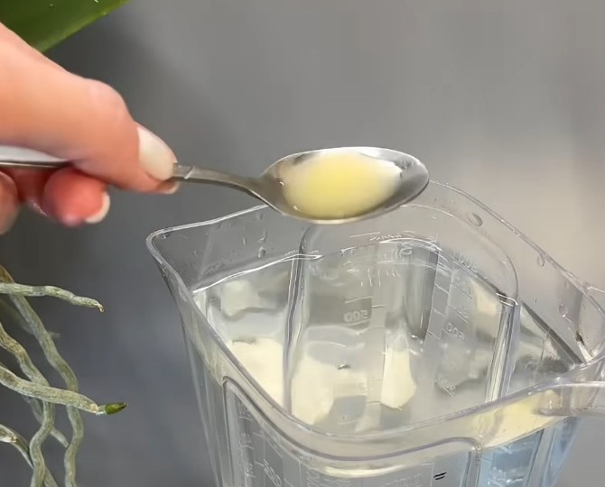 Орхидеи растут как сумасшедшие? Вся правда о поливе лимонной водой!