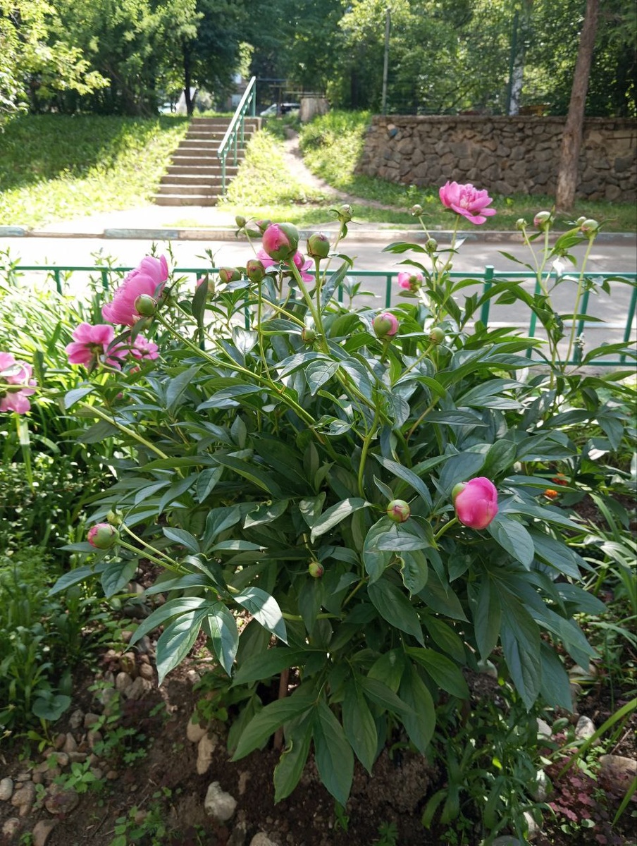 Мечтаю о лете, на улице -31. Иркутск