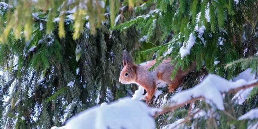    Алёна Бобрович