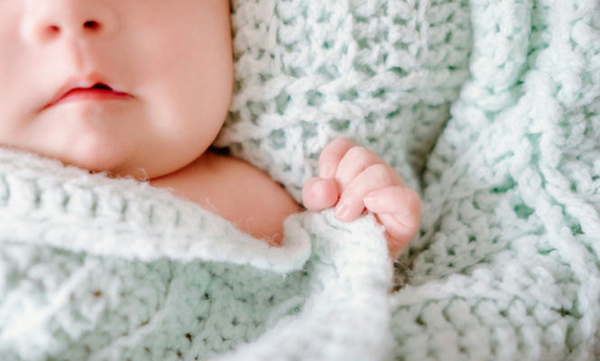    фото: © Unsplash