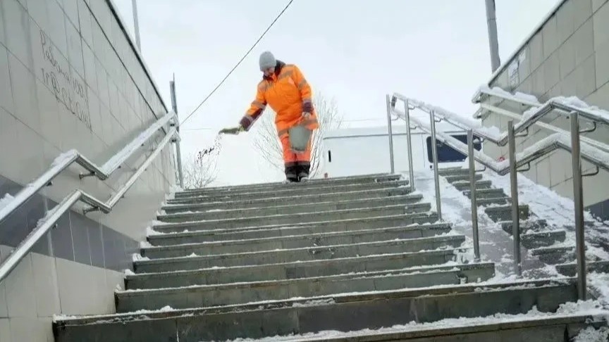     Фото: Пресс-служба администрации Краснодара