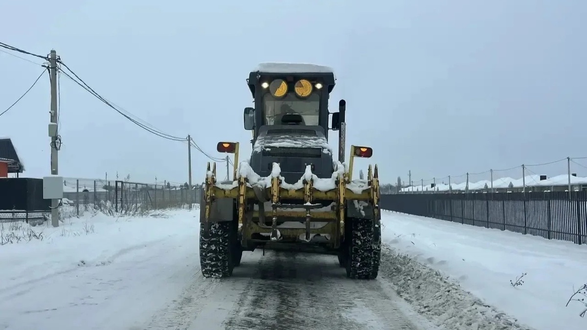     Фото: Пресс-служба администрации Краснодара