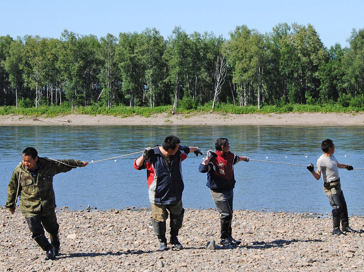 Изображение drh.49gov.ru