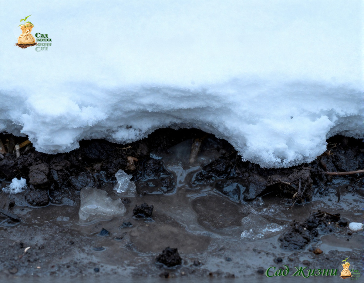 Снег сверху ещё держится, а внизу уже вода