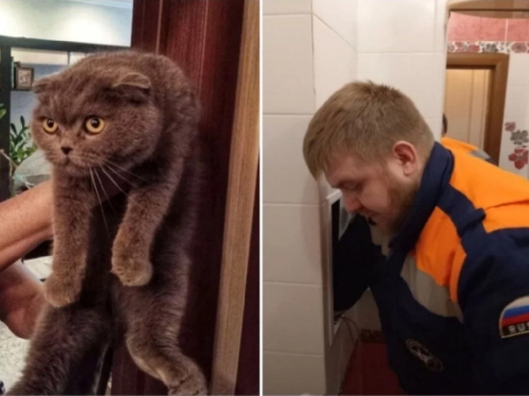     коллаж АиФ/ пресс-служба АСС НСО / аварийно-спасательная служба Новосибирской области