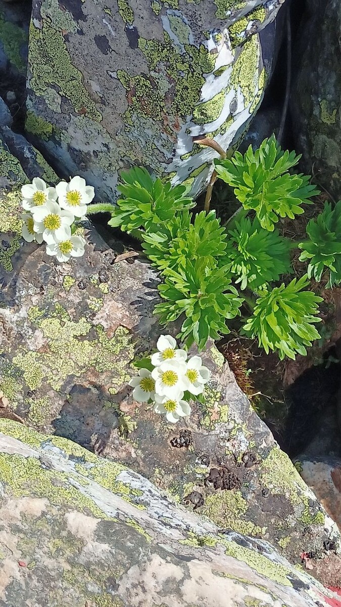 Видео и фото - автора