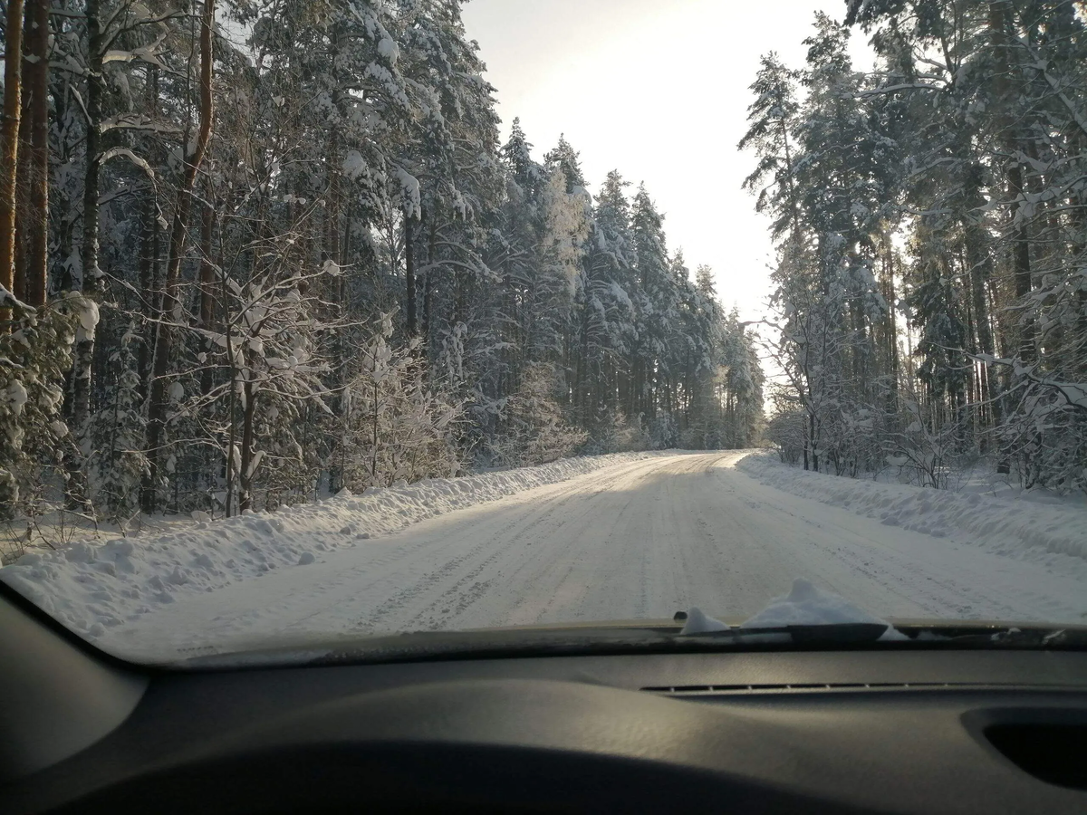 Фото автора.