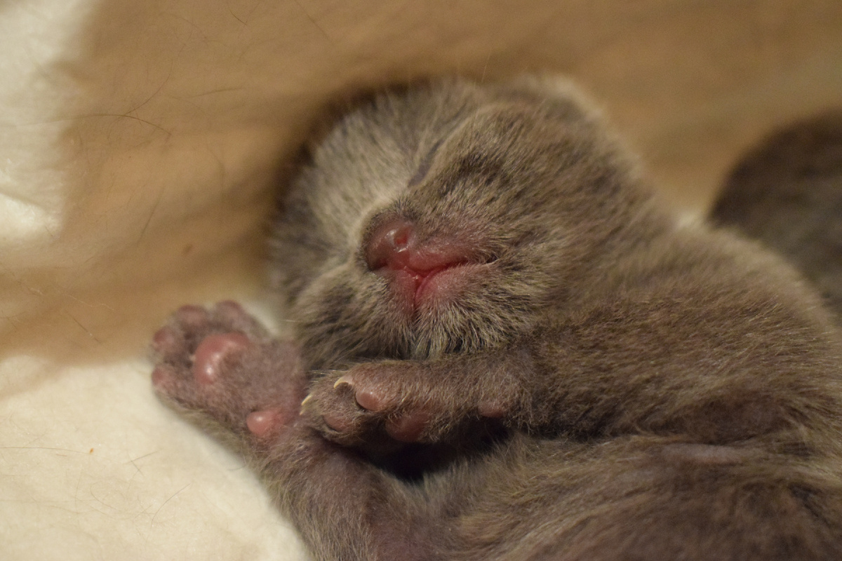 А пока очень хочется спать...