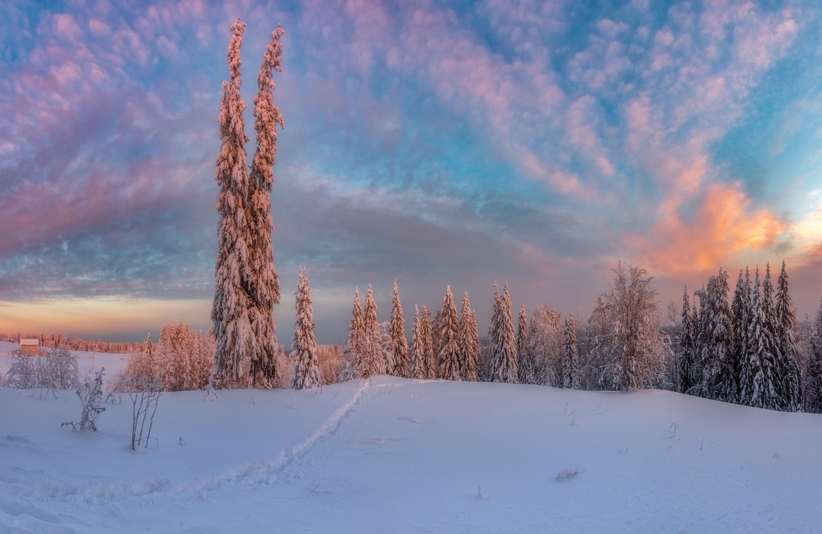 Фото Михаила КАРПОВА.