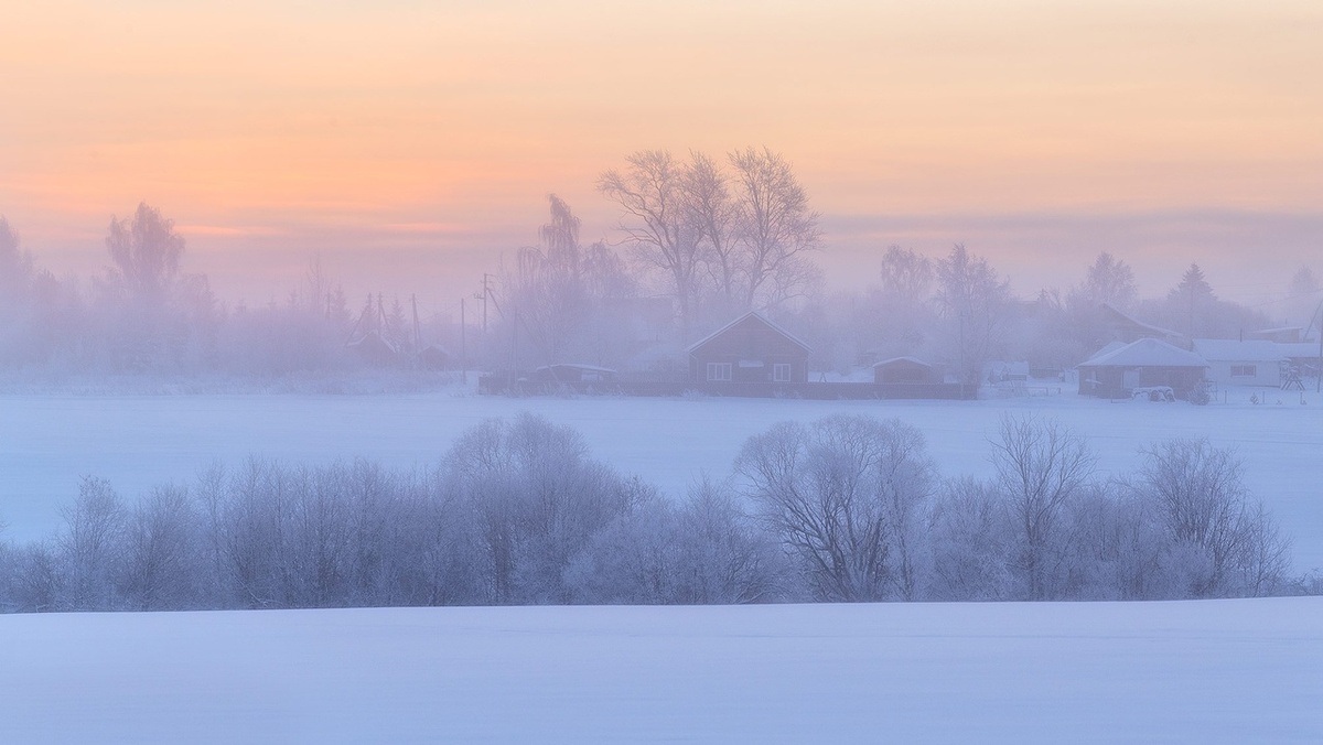 Фото Елены БЕЛОЗОРОВОЙ.