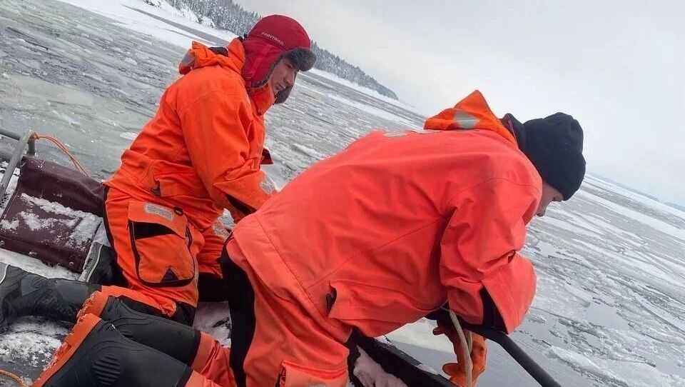   Госкомитет РК по ОЖ и БН