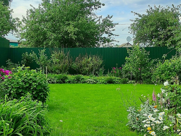 С нуля до отличной лужайки: идеальный спортивный газон своими руками