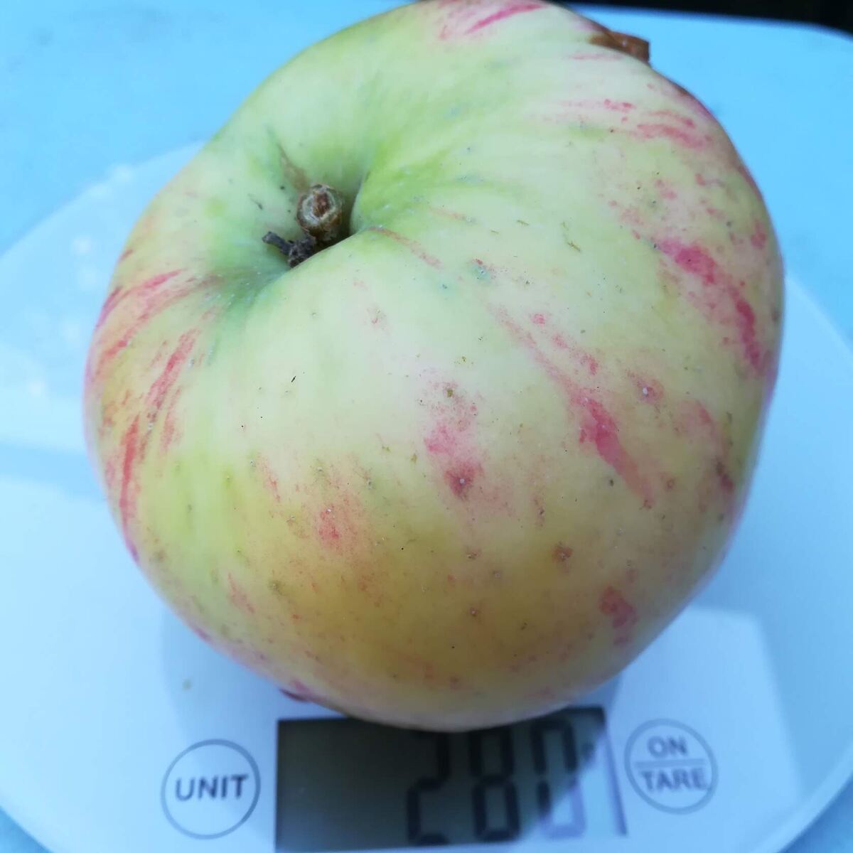 колонно-компакта Мила (А30-3-45)