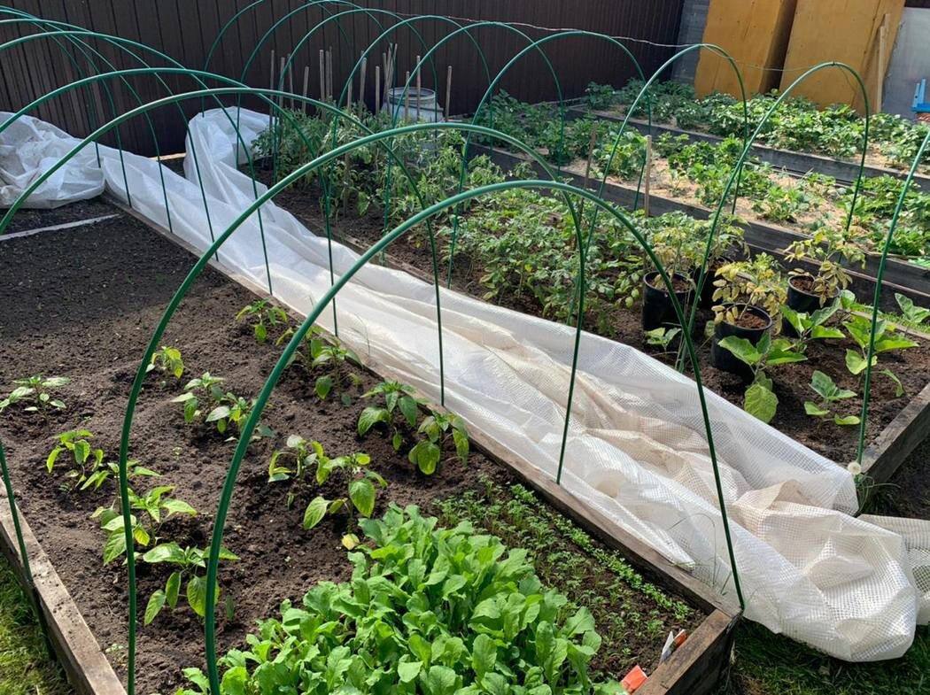    Фото: abn.agency