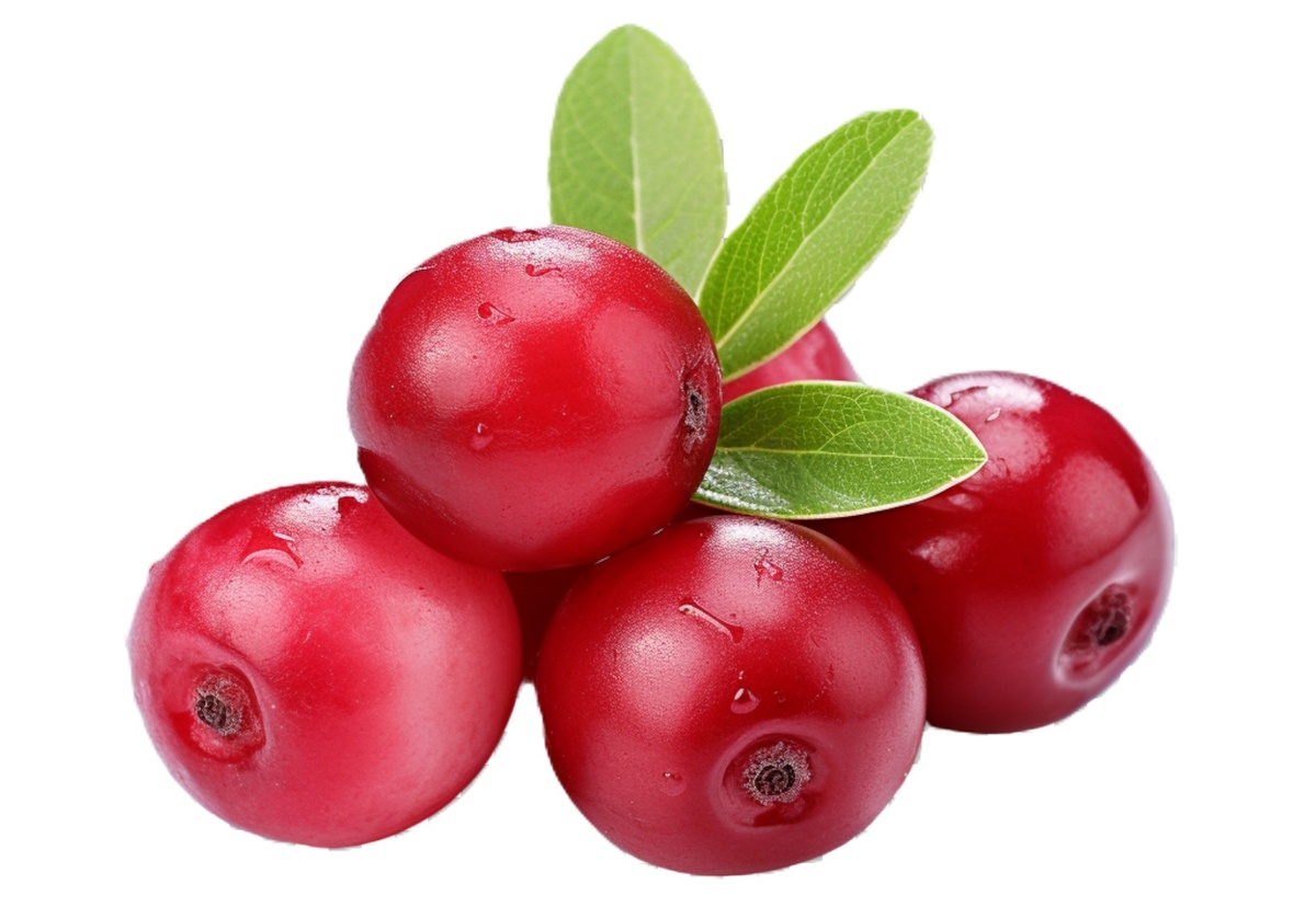 Изображение Freepik