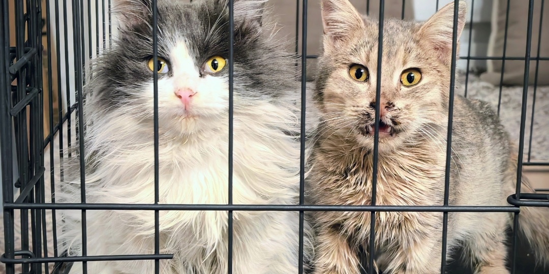 Неоткрытая дверь и неналитая вода