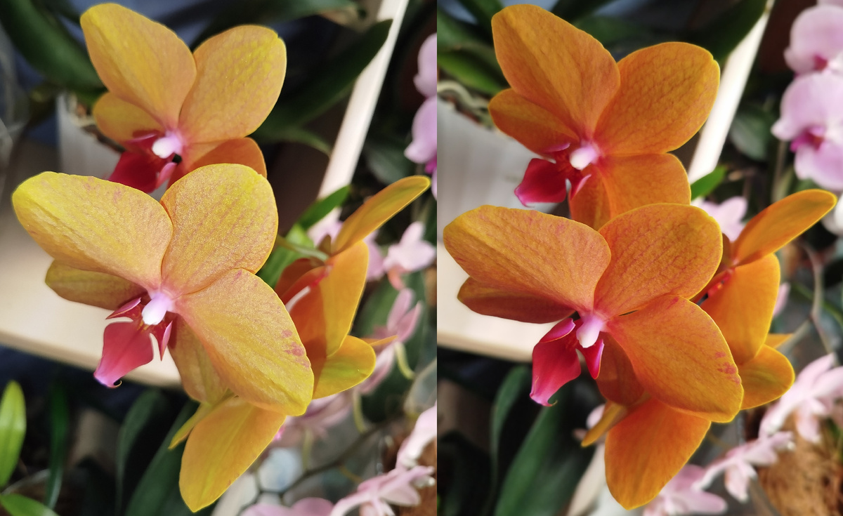 25 марта 2025 Egyption при разном освещении игра цвета