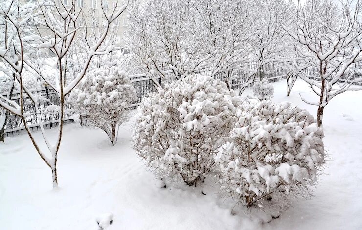 фото 123RF/vodolej