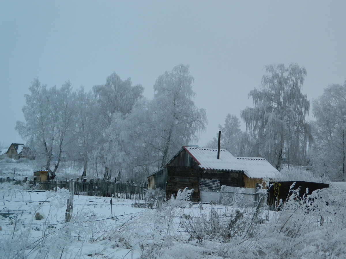 Фото Е. Медведниковой