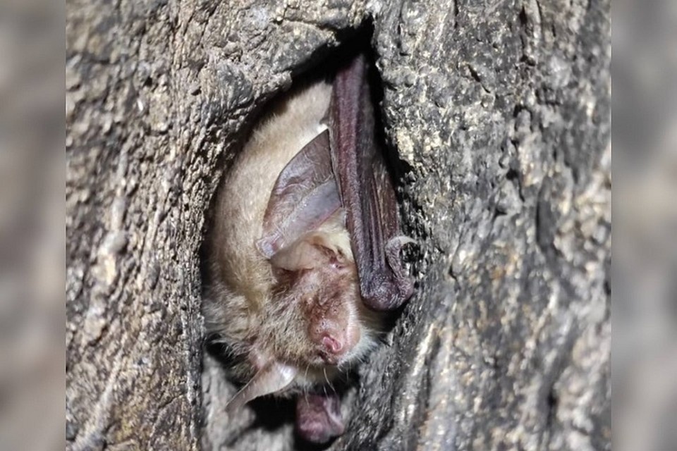    Внимание ученых привлекла Ледяная пещера. Фото: Департамент информационной политики региона