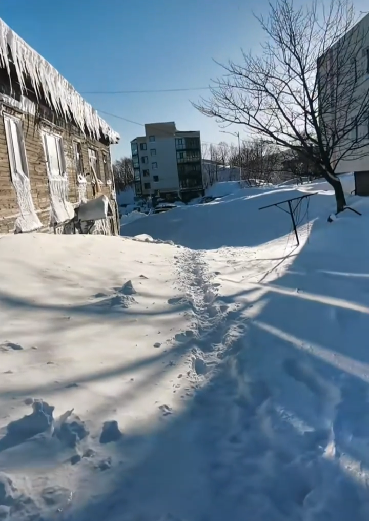 Снежный колабс