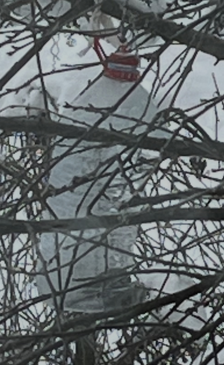 Вот один такой смельчак и сейчас сидит в ней