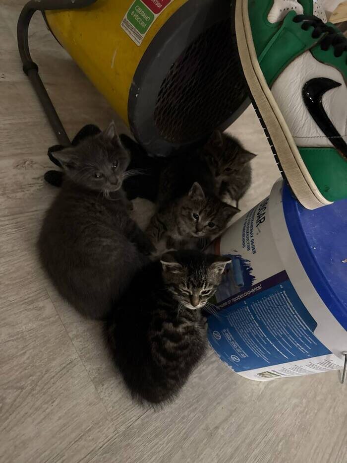 Листайте вправо, чтобы увидеть больше изображений