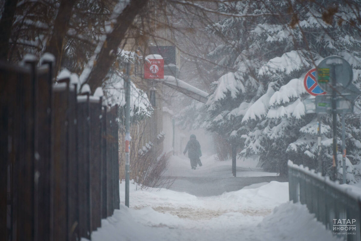 Фото: © Владимир Васильев / «Татар-информ»