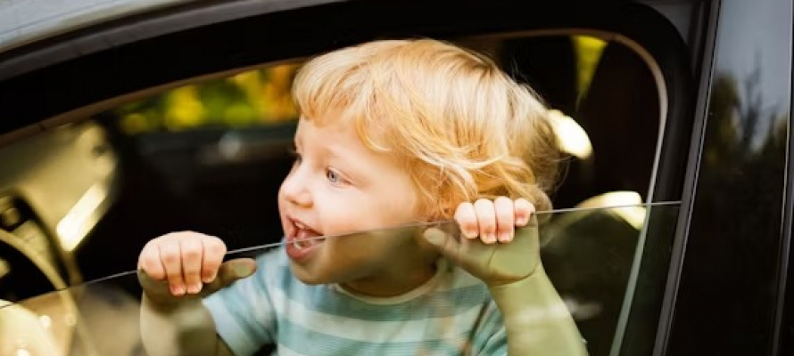    фото: © Unsplash