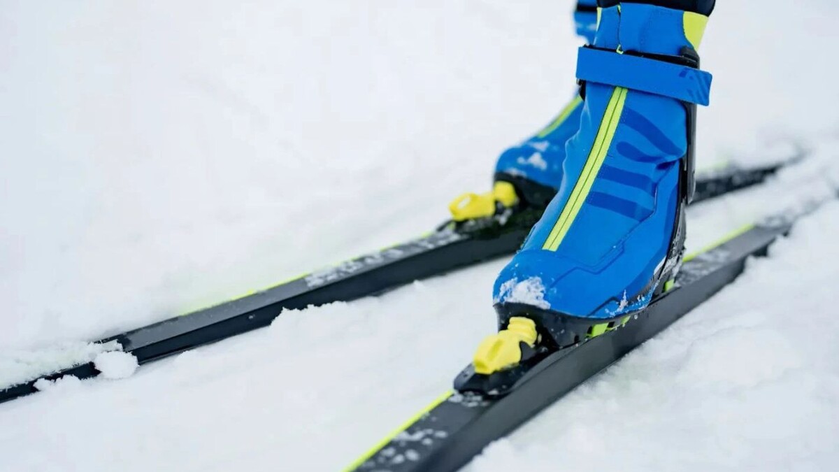    Фото: Сергей Зубков/«Ямал-Медиа»